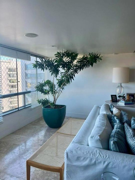Apartamento - Horto florestal