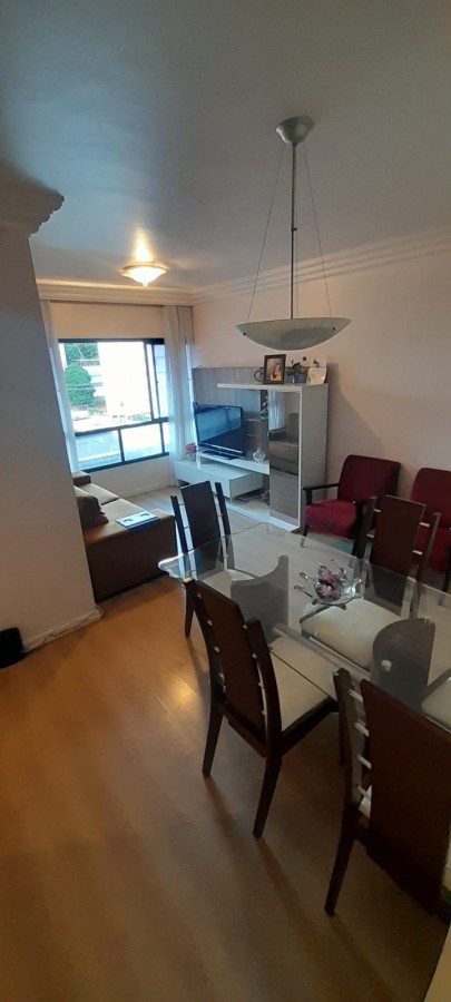 Apartamento - Cidade jardim