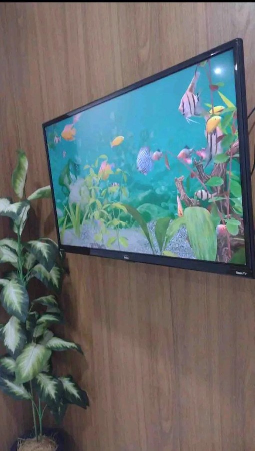 Apartamento - Barra