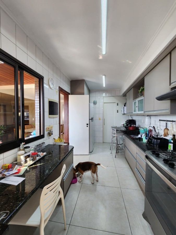 Apartamento - Caminho das árvores