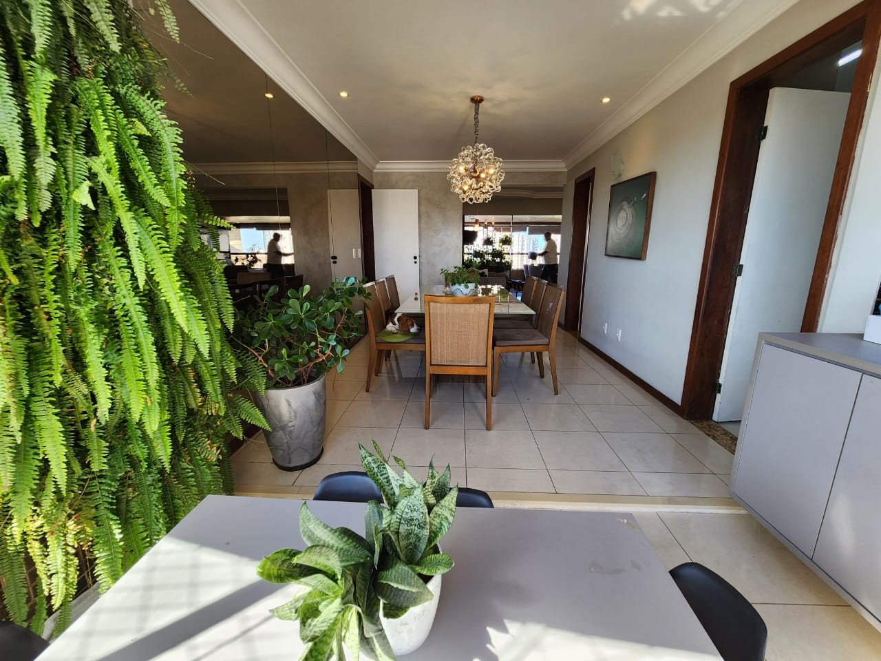 Apartamento - Caminho das árvores