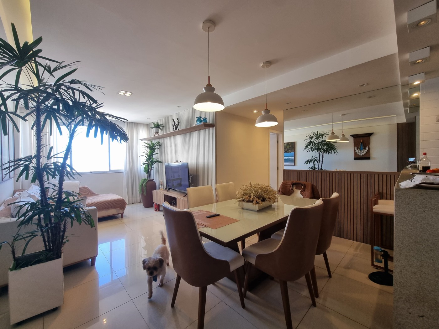 Apartamento - Imbuí