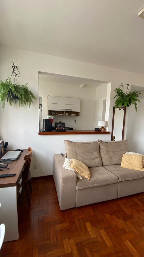 Apartamento - Barra