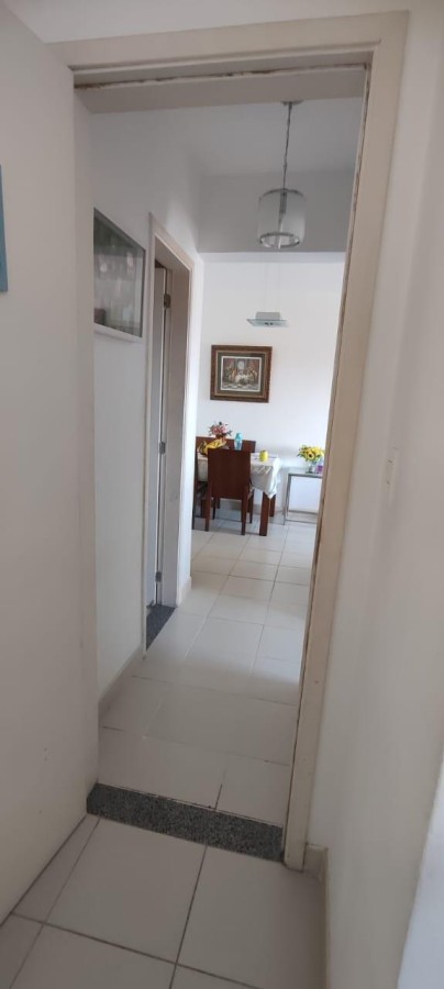 Apartamento - Centro