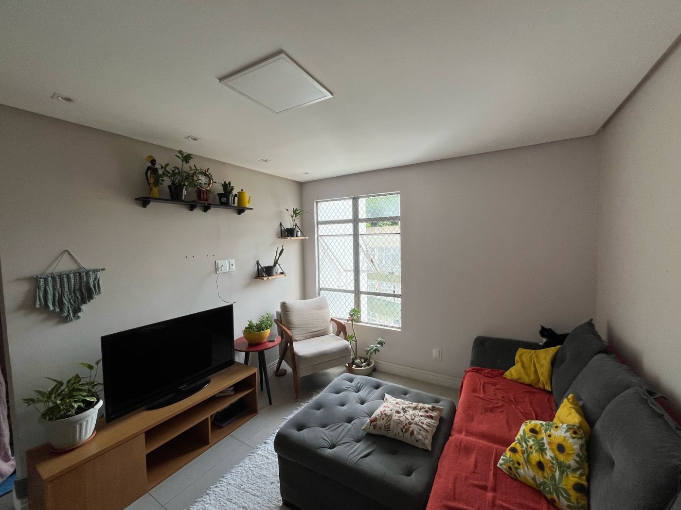 Apartamento - Barra
