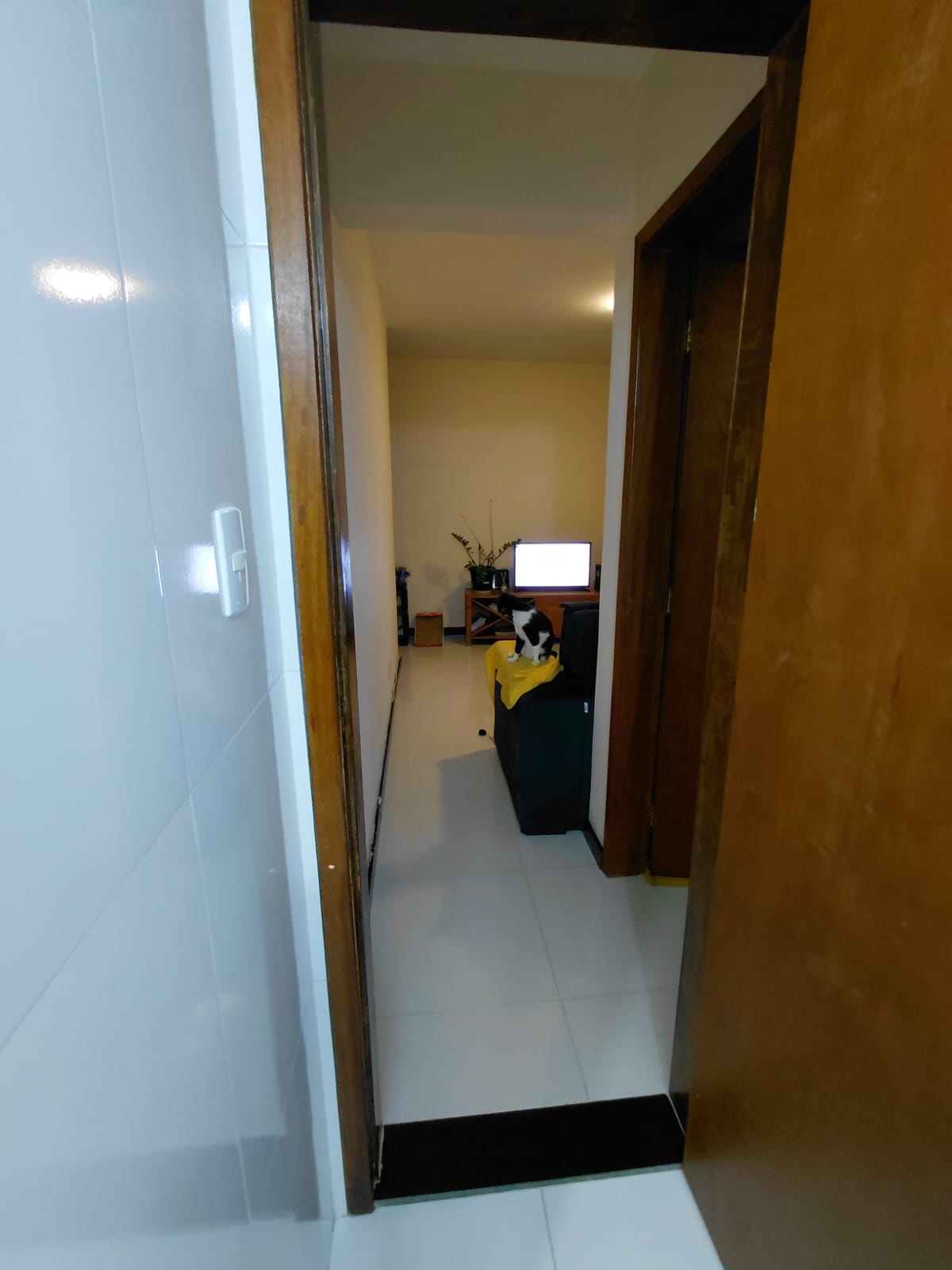 Apartamento - Brotas