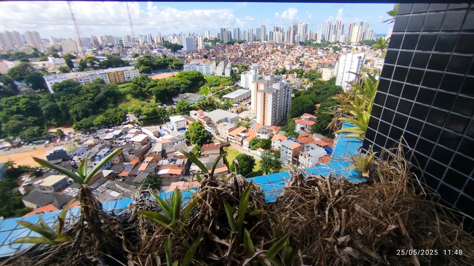 Apartamento - Rio Vermelho
