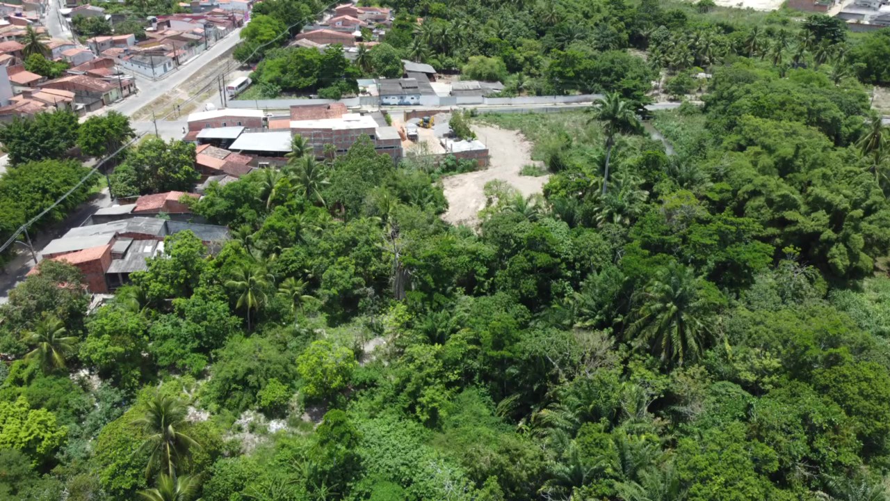 Terreno - Pinto Aguiar