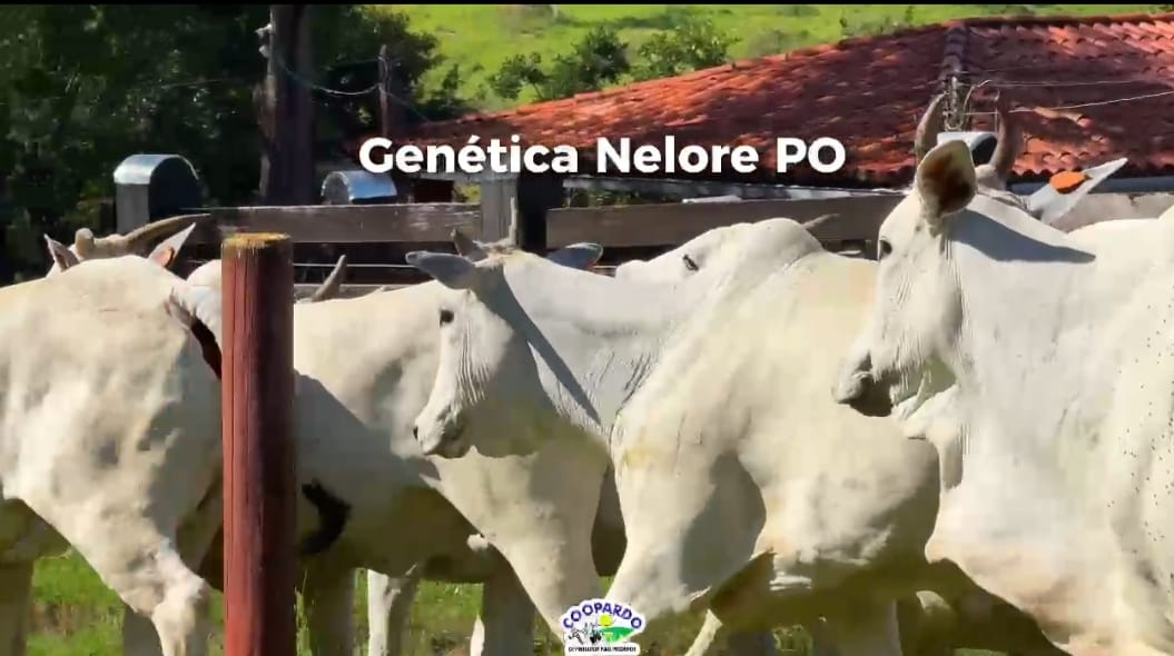 Outro - Zona Rural