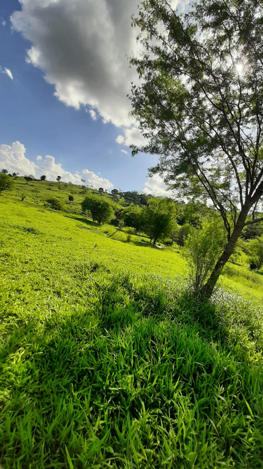 Outro - Zona Rural