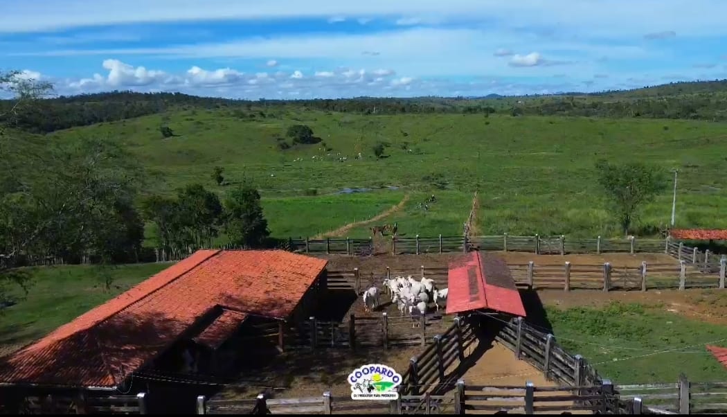 Outro - Zona Rural