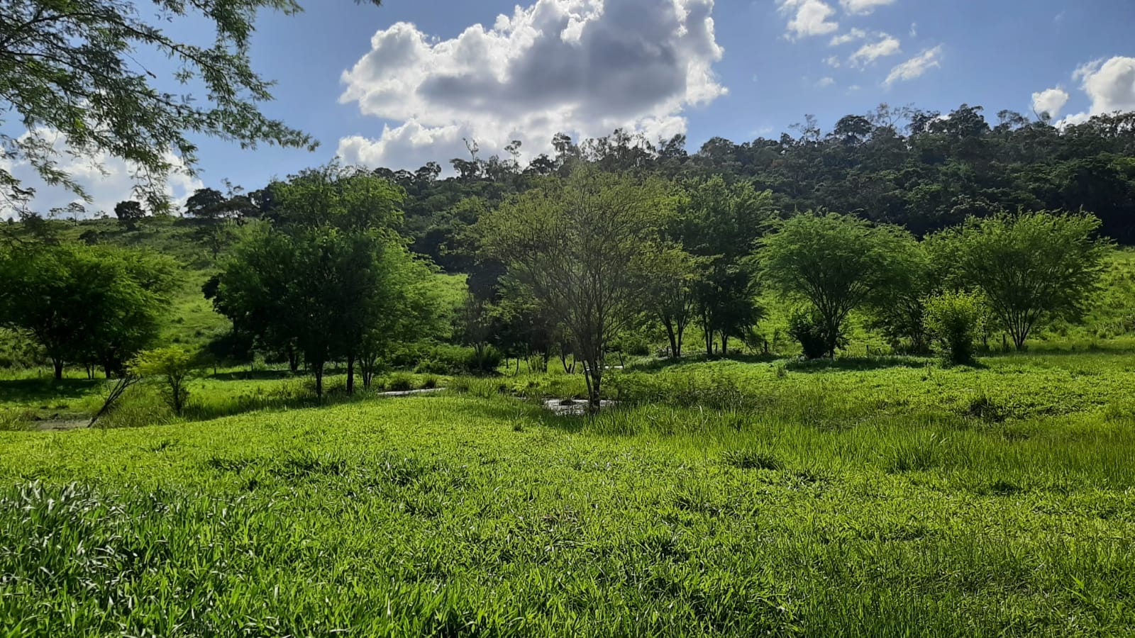 Outro - Zona Rural