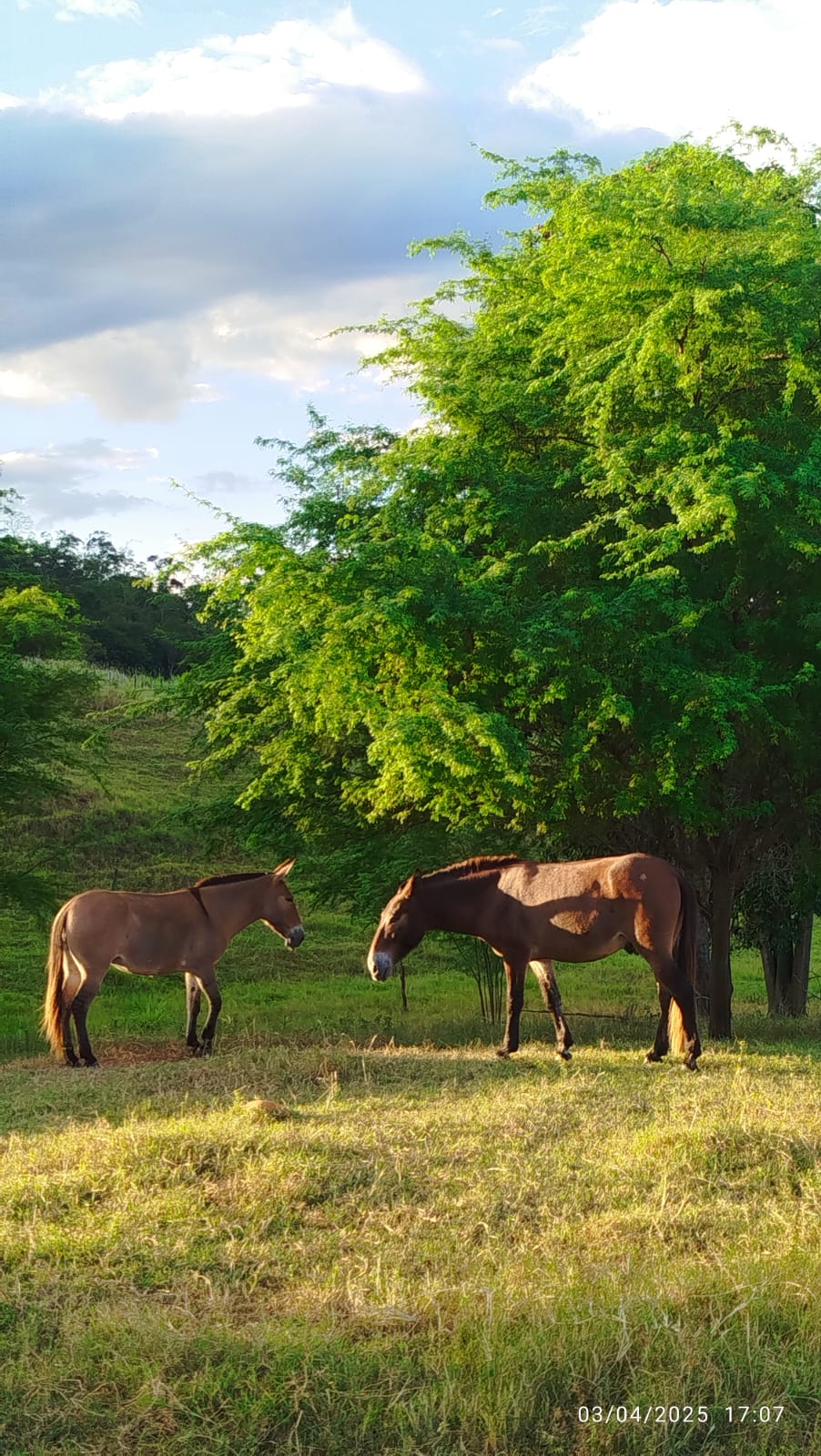 Outro - Zona Rural