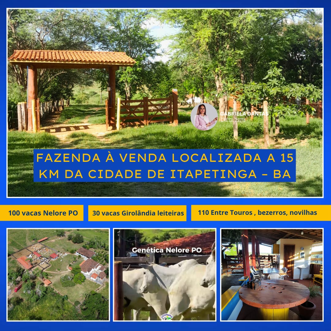 Outro - Zona Rural