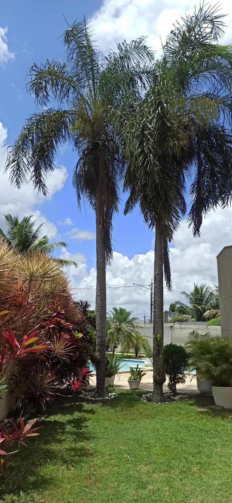 Casa duplex  - Centro