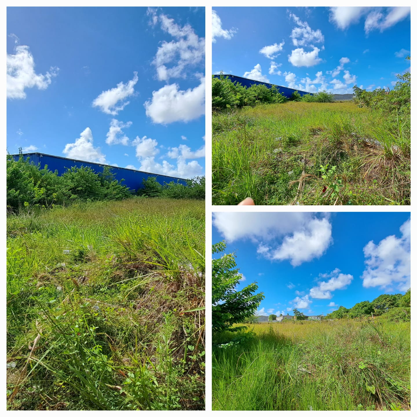 Terreno - Parque Real Serra Verde